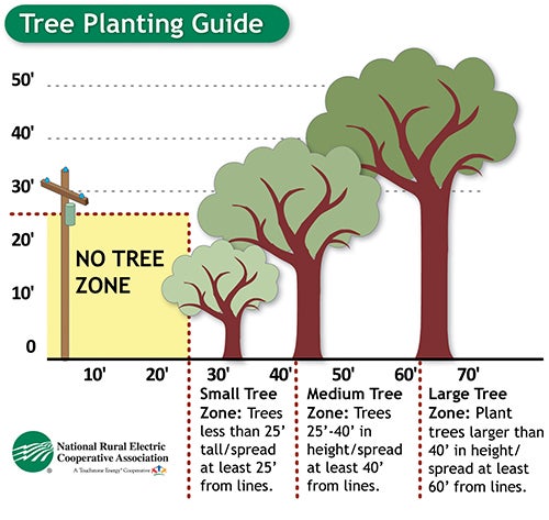 Tree Trimming guide image